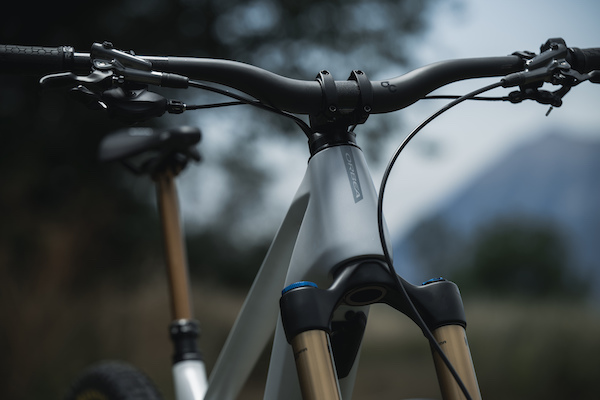 Câbles internes étanches en 2023 Orbea Wild M-LTD